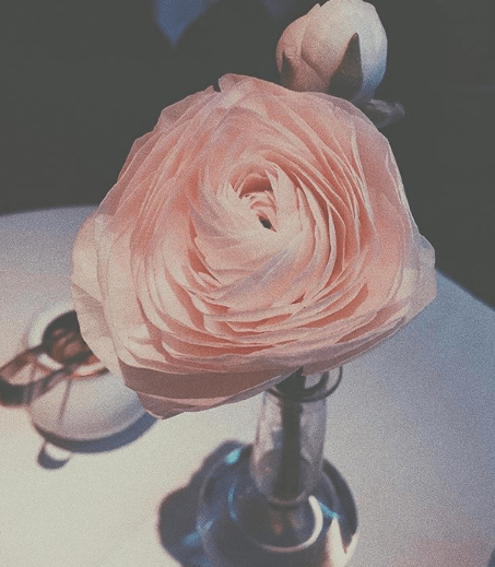 flor