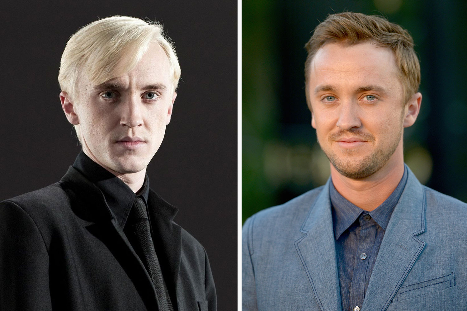 Tom Felton Como são essas celebridades infantis hoje