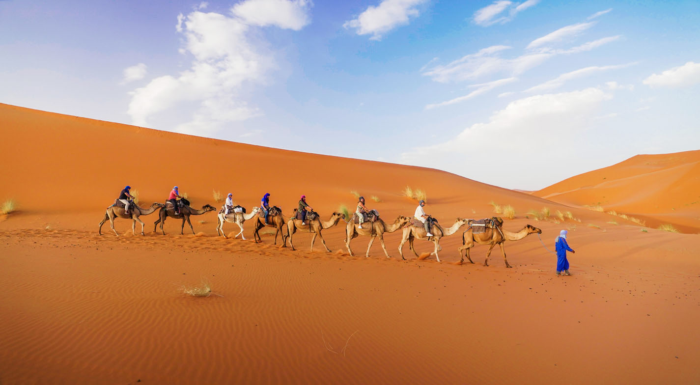 O deserto do Saara costumava ser uma floresta tropical