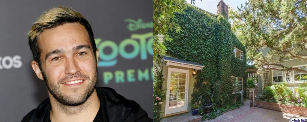 Pete Wentz