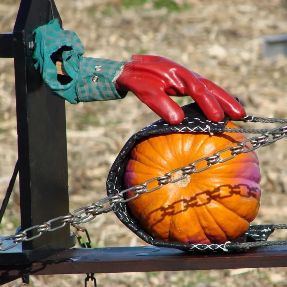 Campeonato Mundial Punkin Chunkin