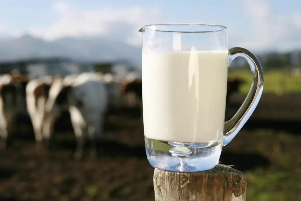 Leite não pasteurizado